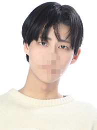 ミドリの画像